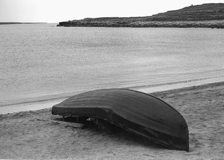 Aran-10