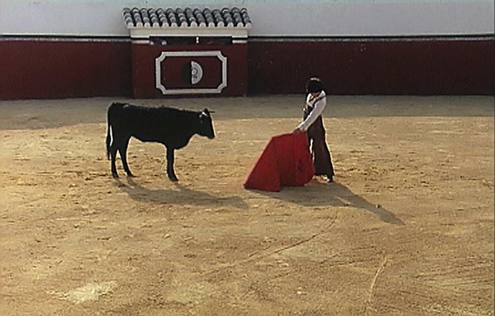 Toro7